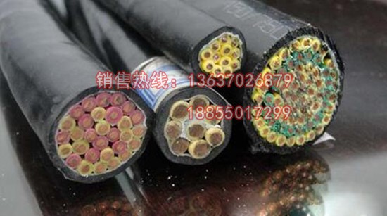 DJYDPYDP計算機用銅絲編織屏蔽電纜