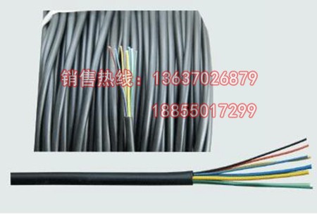 廠家直供電瓶車專用電纜