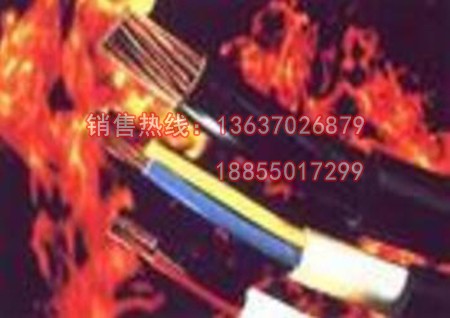 NH-KFFP NH-KFFP2阻燃耐火電纜